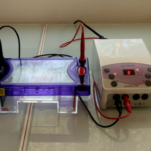 Appareil de Western Blot