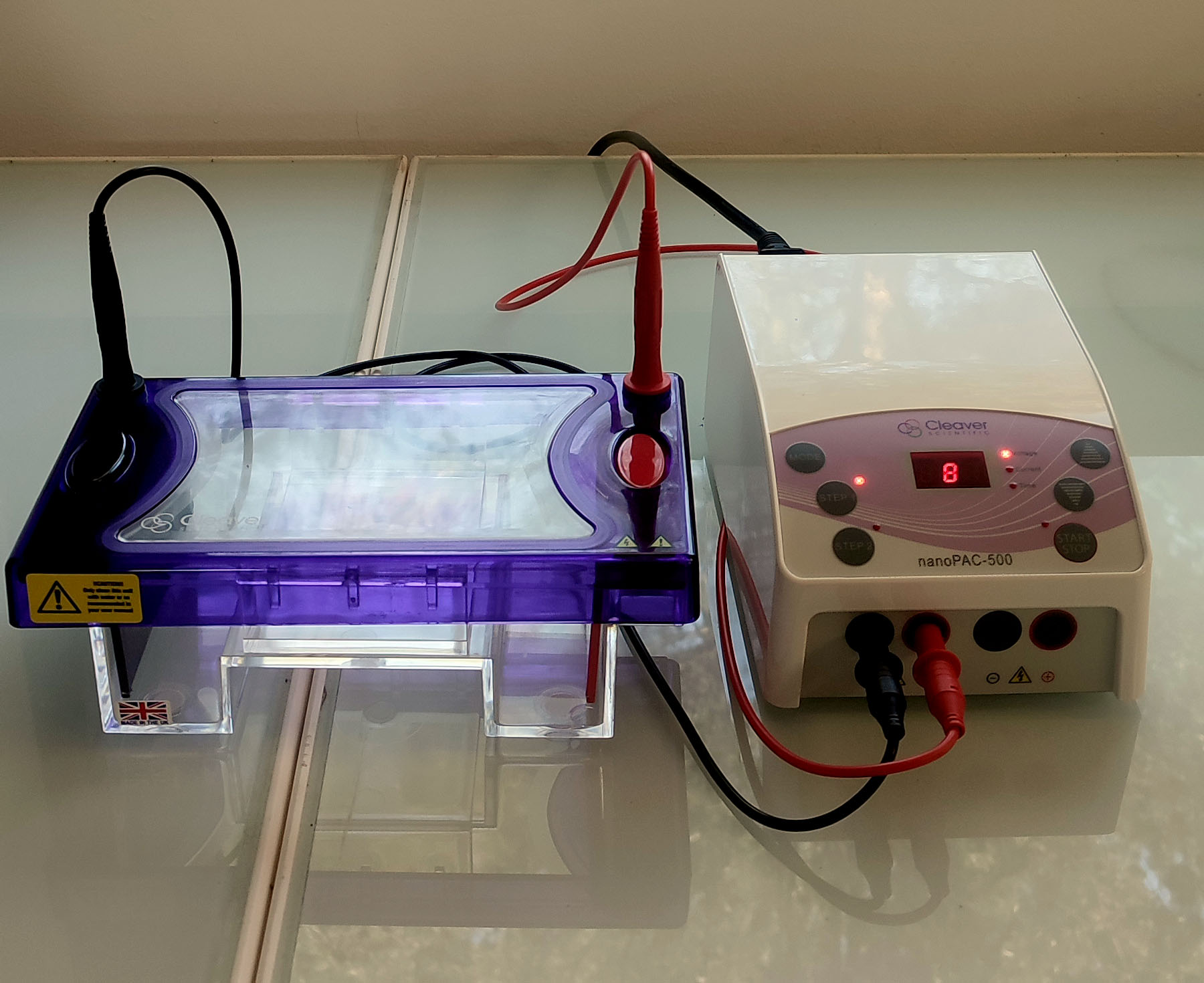Appareil de Western Blot